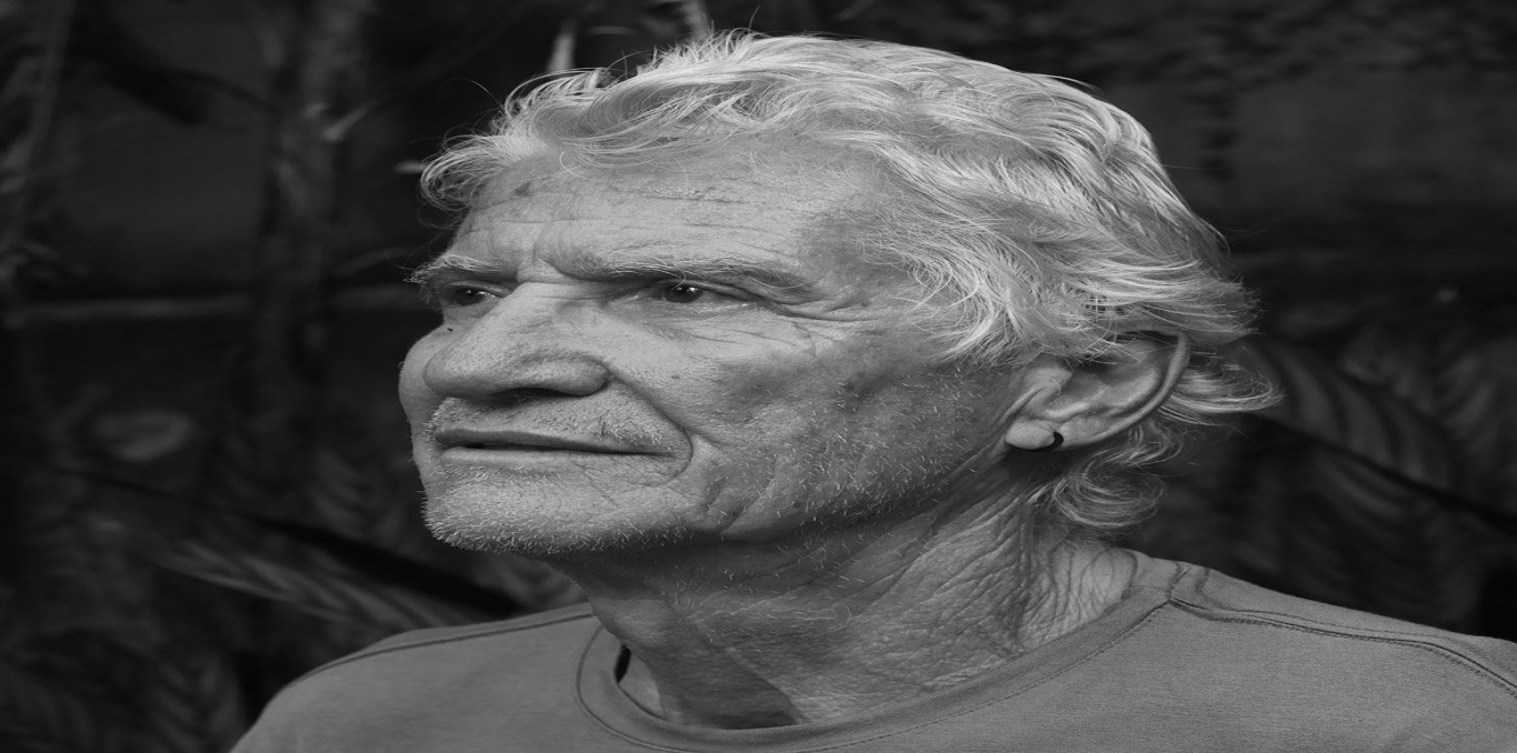 Image de couverture Vincent Carelli