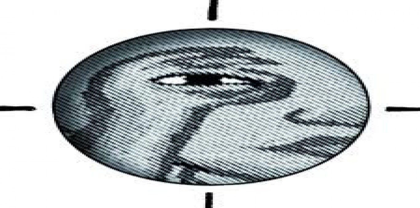 Image de couverture Les Ziconofages