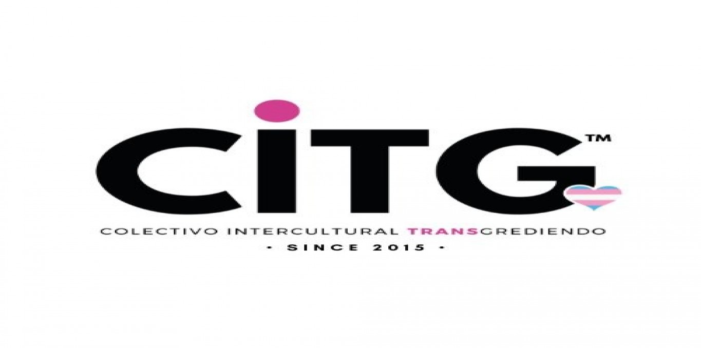 Image de couverture Colectivo Intercultural TRANSgrediendo