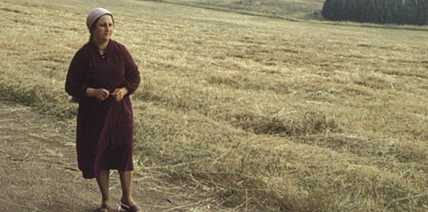 Couverture du documentaire La Mémoire fertile