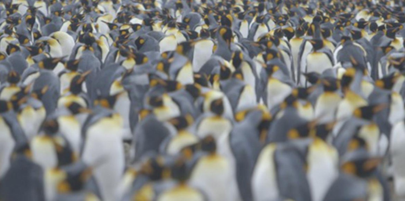 Couverture du documentaire Là-bas, les Kerguelen