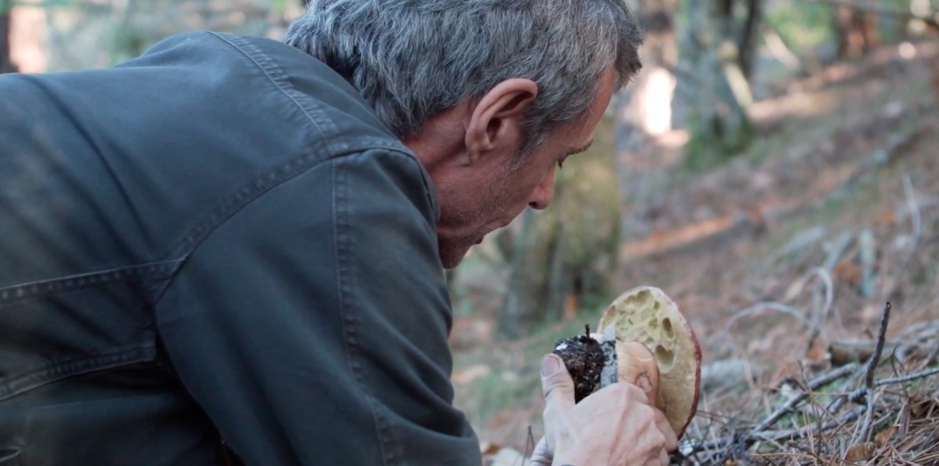 Couverture du documentaire Le village - Saison 2 - épisode 2