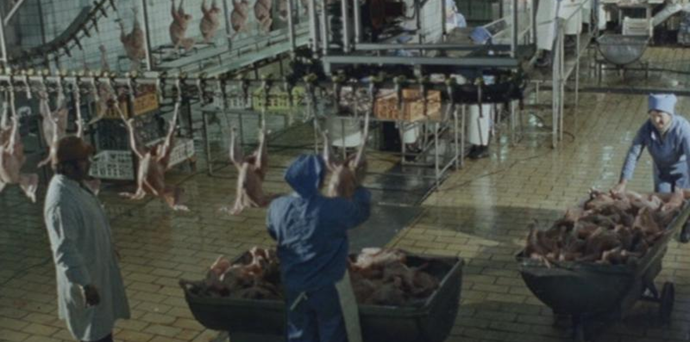 Couverture du documentaire Le jour viendra (Va veni o zi)