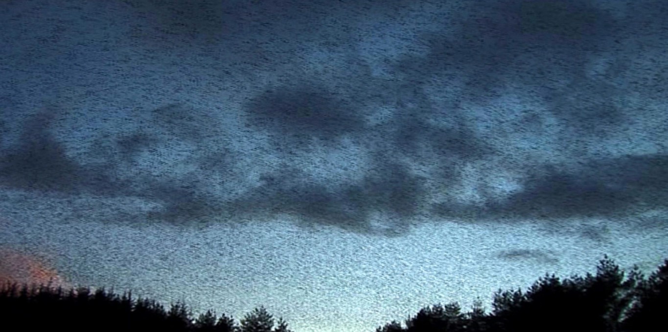 Couverture du documentaire Le Bruit du canon