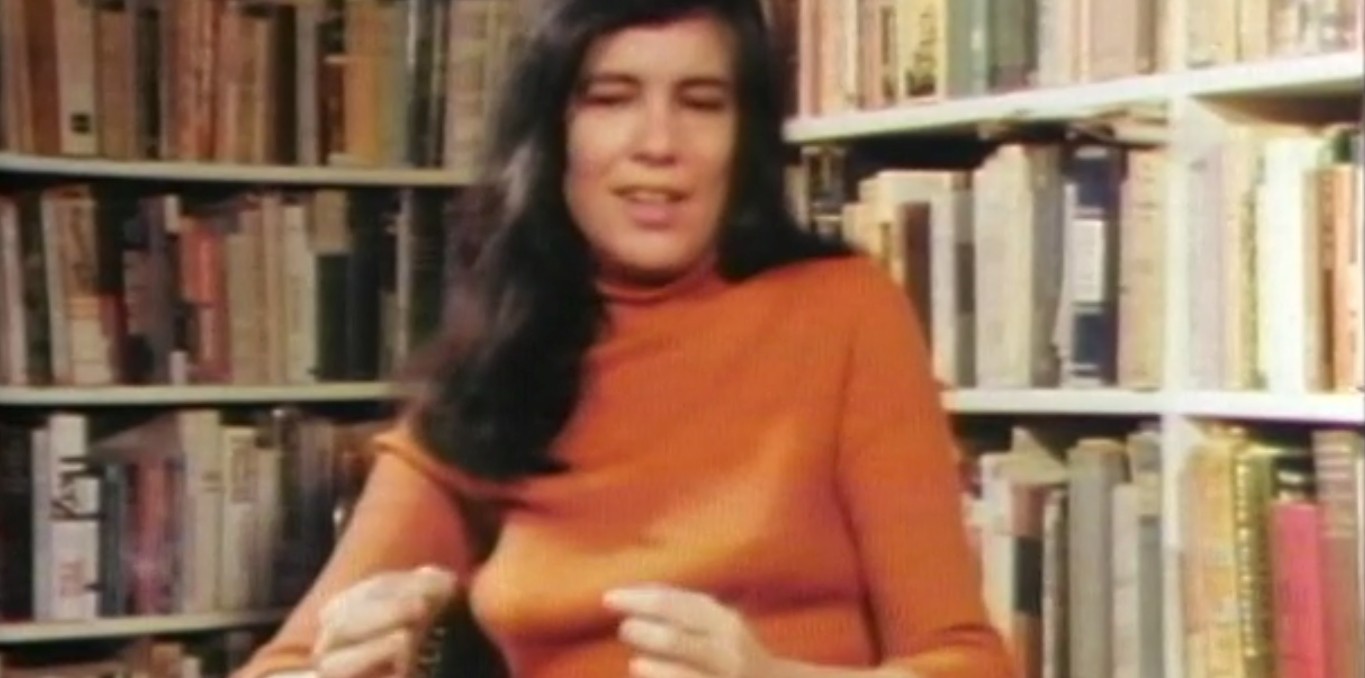 Couverture du documentaire Susan Sontag