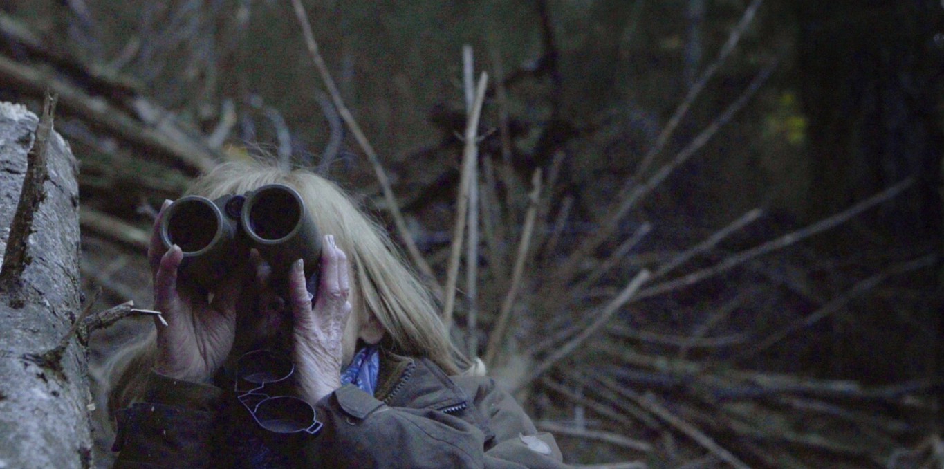 Couverture du documentaire La Fin d'Homère