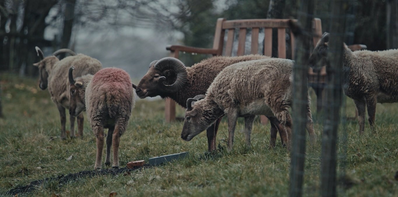 Couverture du documentaire Une forme d'intimité