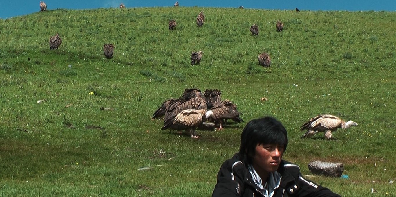 Le Rappel des oiseaux