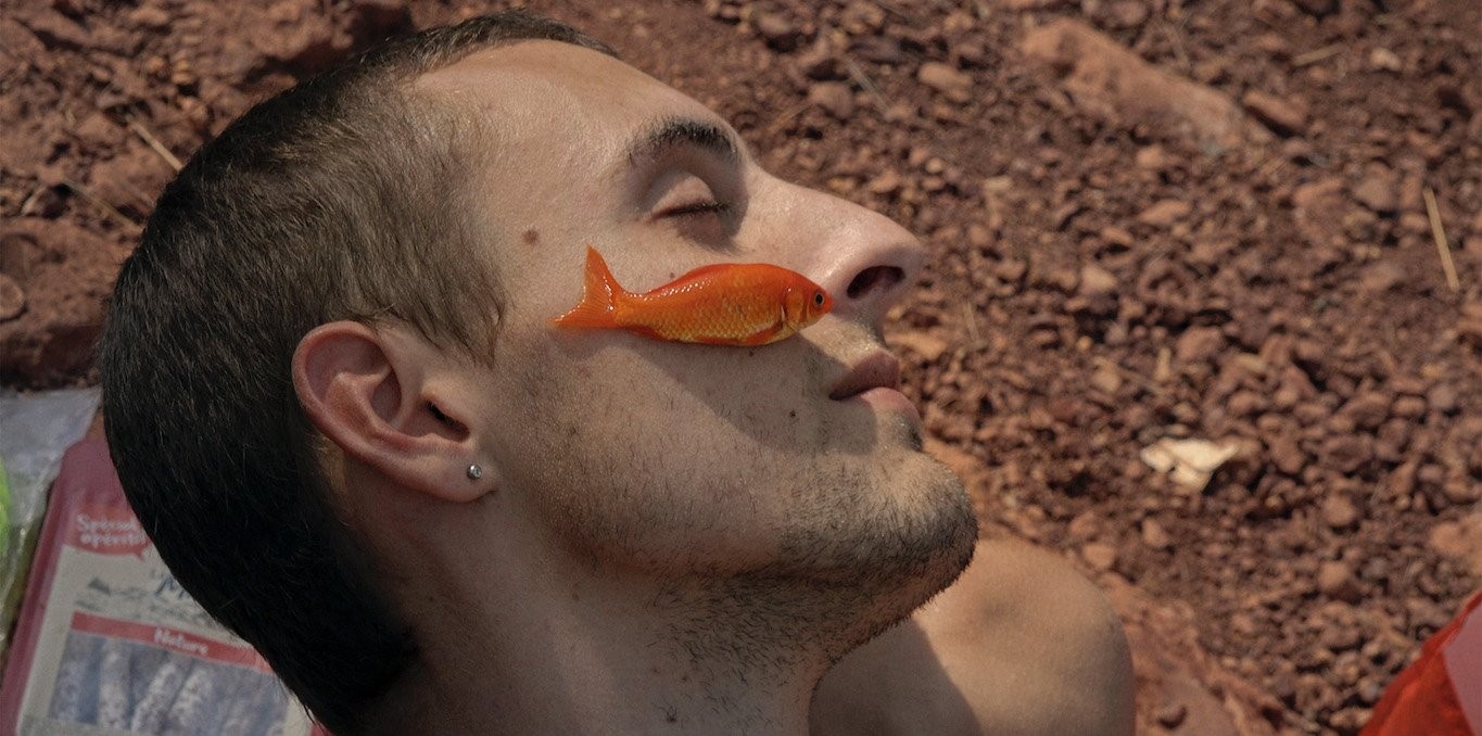 Couverture du documentaire Bobby brûle