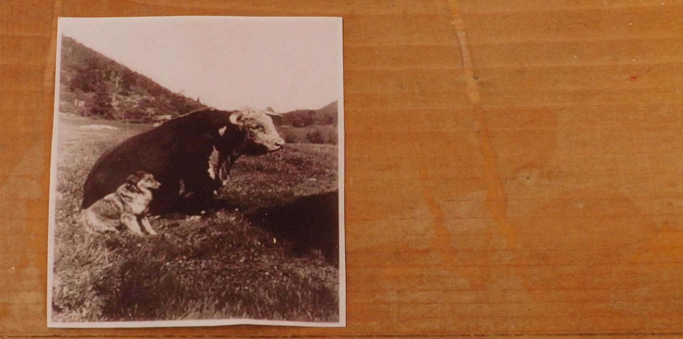 Couverture du documentaire Proches, film collectif