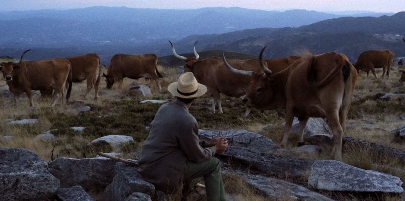 Couverture du documentaire Volta a Terra