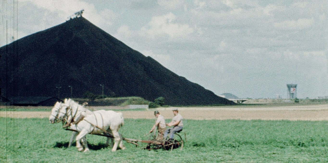 Couverture du documentaire Flacky et Camarades - Le Cheval de fer