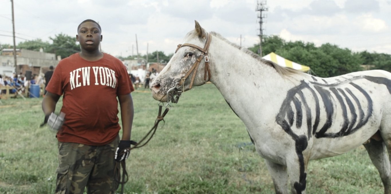 Couverture du documentaire Horse Day