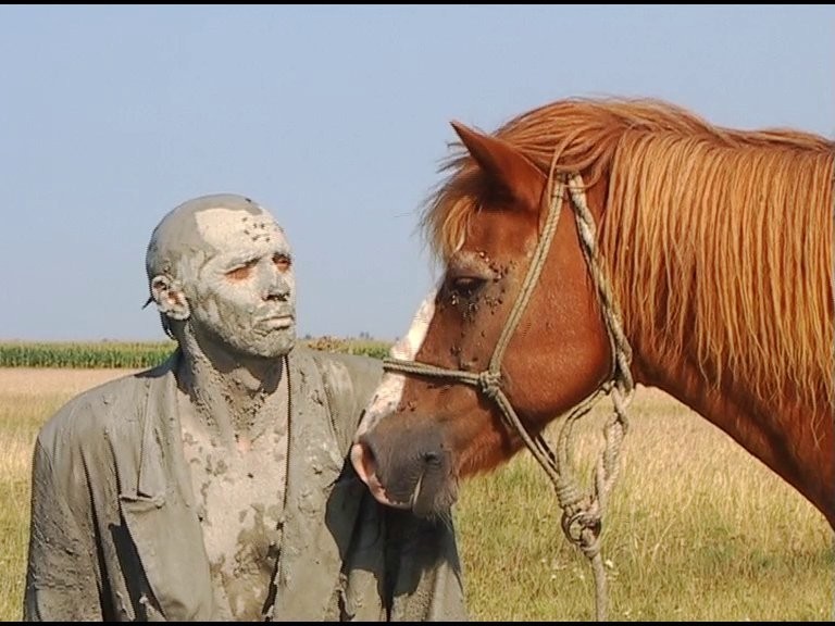 Couverture du documentaire Dernier Paysage