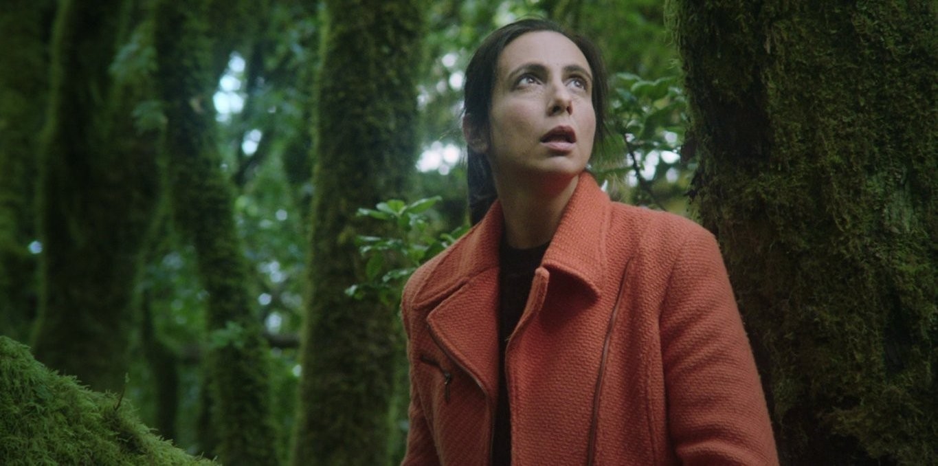 Couverture du documentaire Common Birds