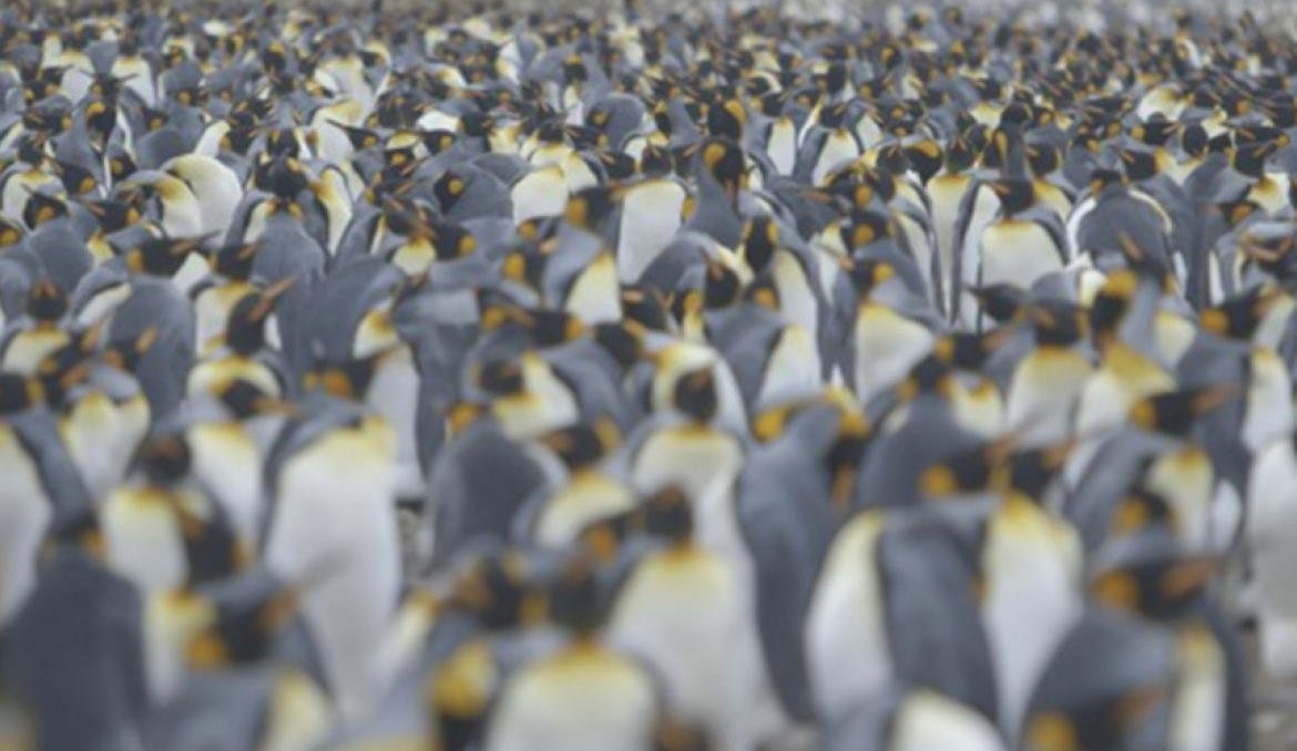 Couverture du documentaire Là-bas, les Kerguelen