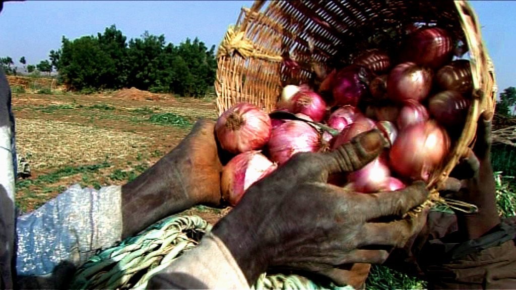 Couverture du documentaire Pour le Meilleur et pour l'Oignon !