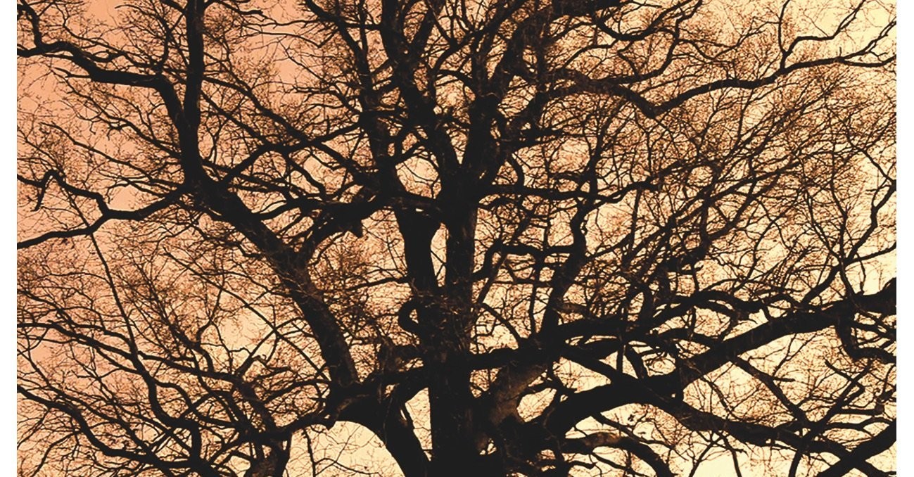 Couverture du documentaire La Deuxième Nuit