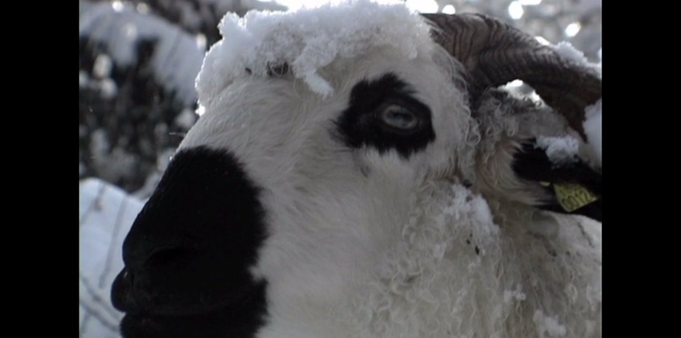 Couverture du documentaire Sous nos pas