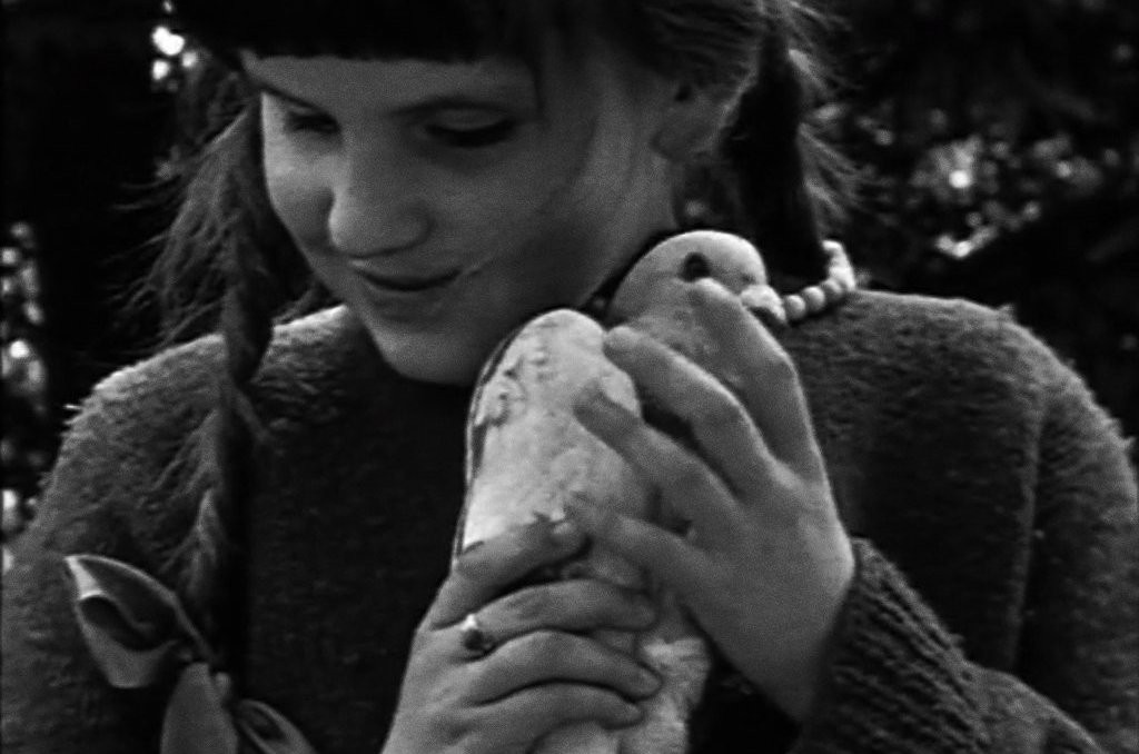 Couverture du documentaire L’Enfant aveugle