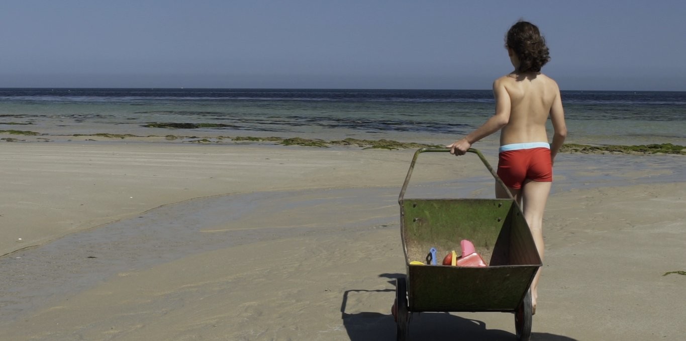 Couverture du documentaire L'homme a mangé la Terre