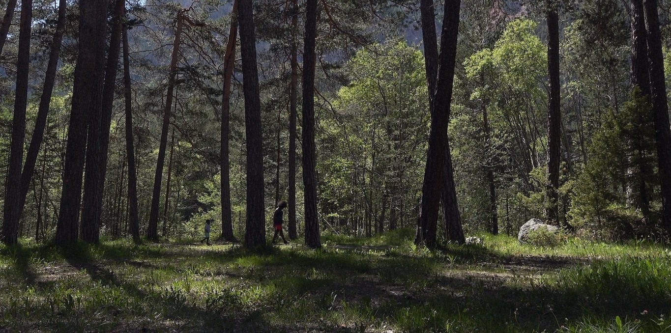 Couverture du documentaire Ceux de la nuit