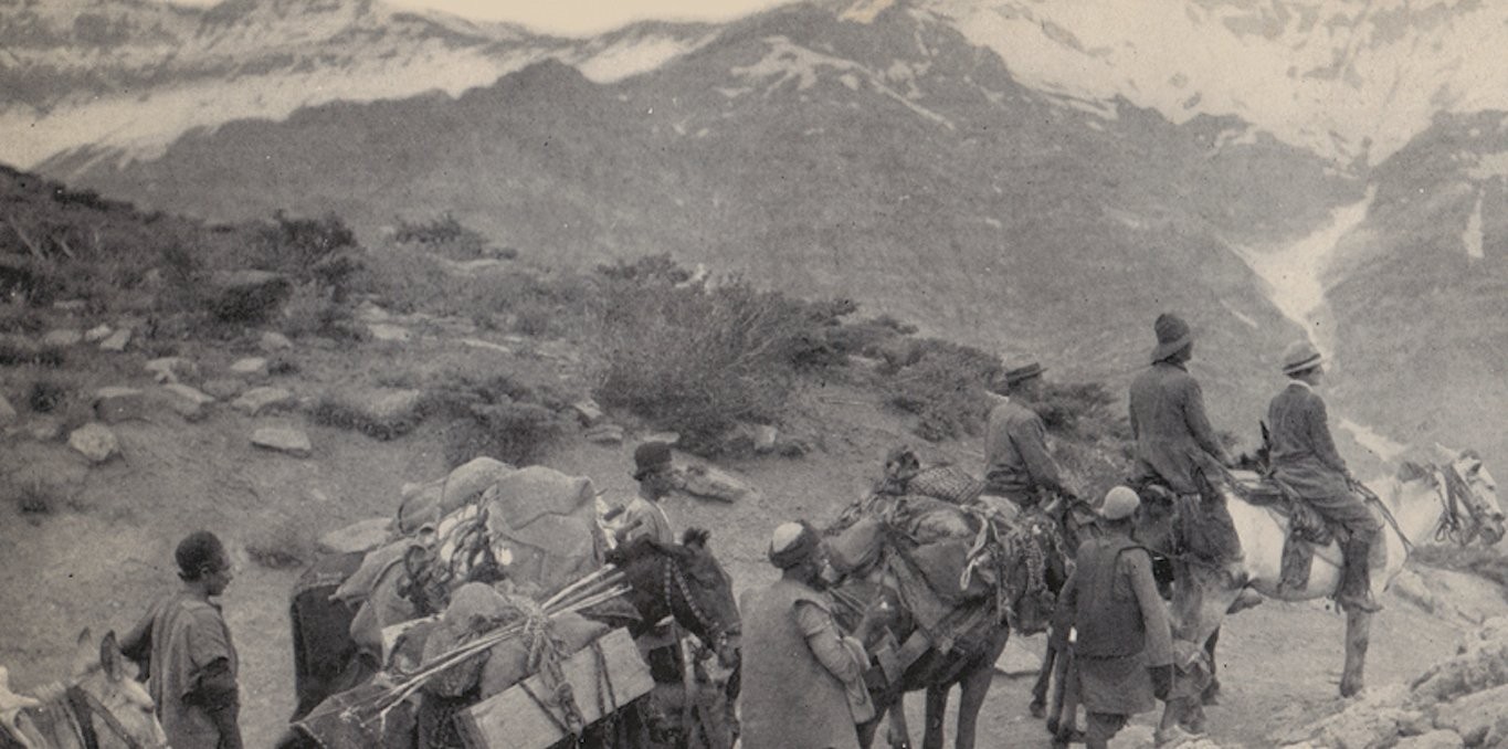 Couverture du documentaire Grass: A Nation's Battle for Life