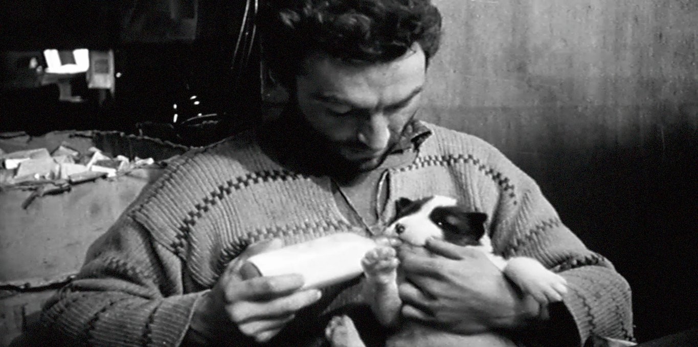 Couverture du documentaire Terre Adélie