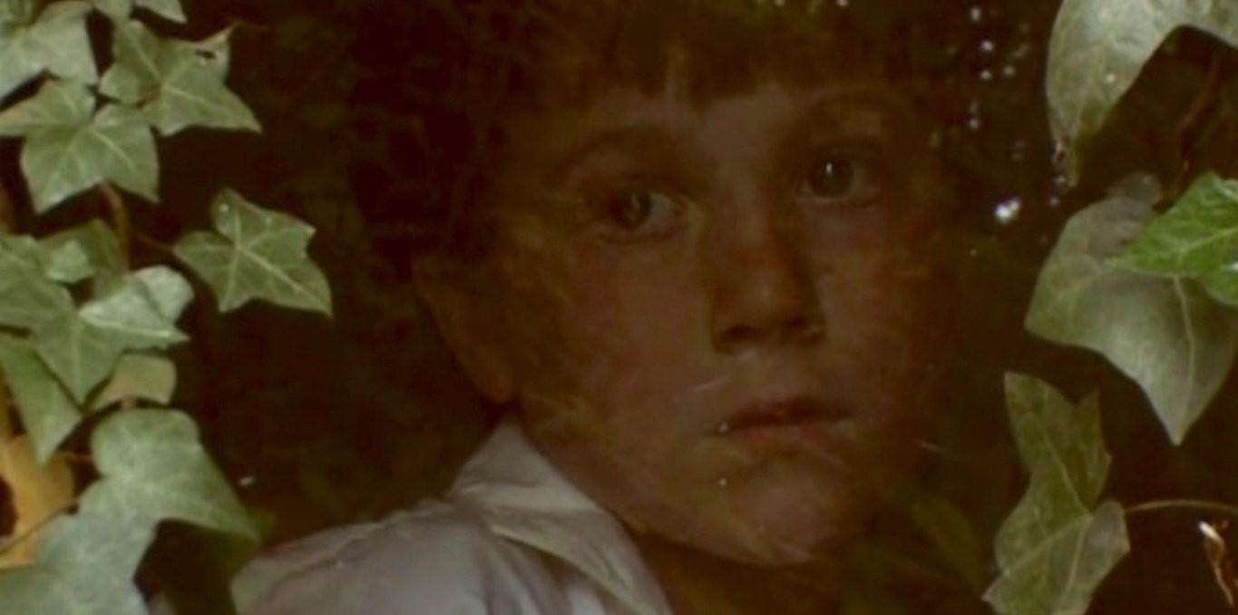 Couverture du documentaire Les Films rêvés