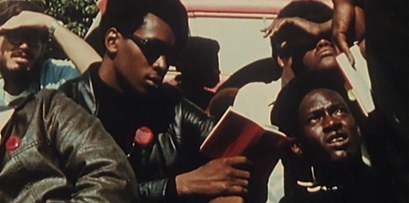 Couverture du documentaire Black Panthers