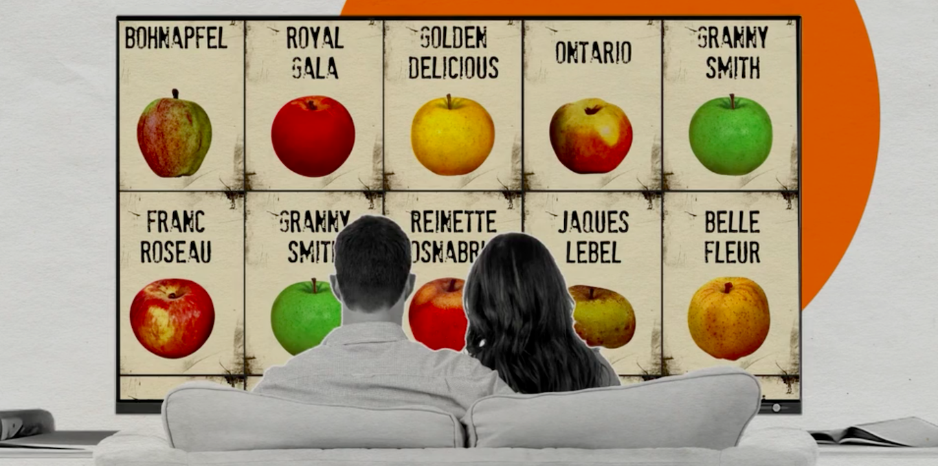 Diversité documentaire