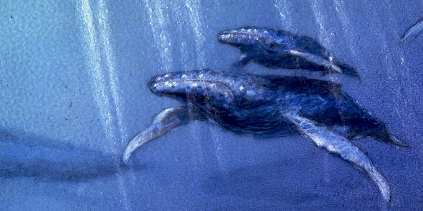 Couverture du documentaire Le Fleuve aux grandes eaux