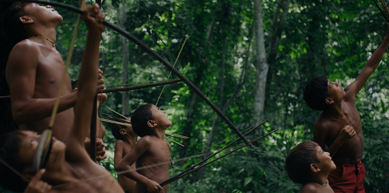 Couverture du documentaire The Last Forest