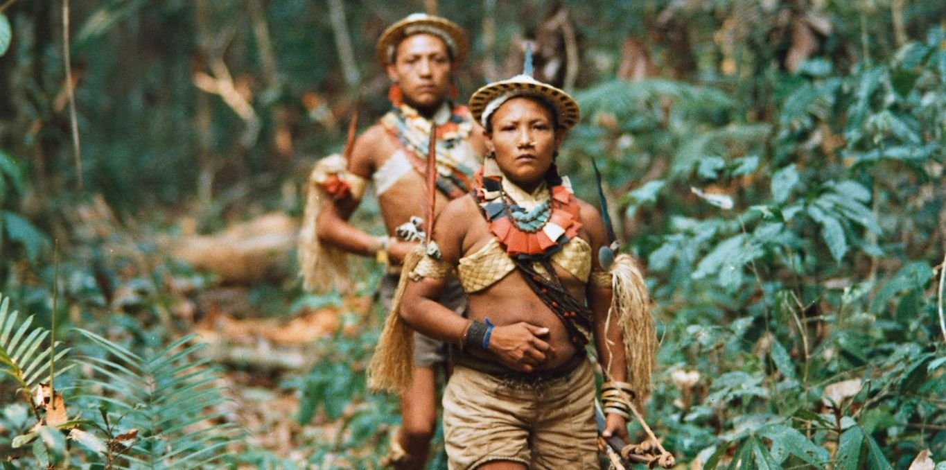 Couverture du documentaire Corumbiara