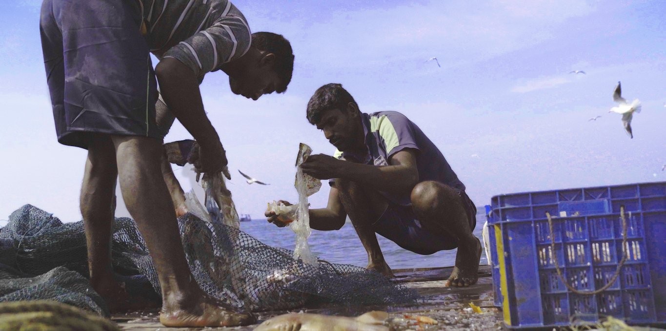 Couverture du documentaire Against the Tide