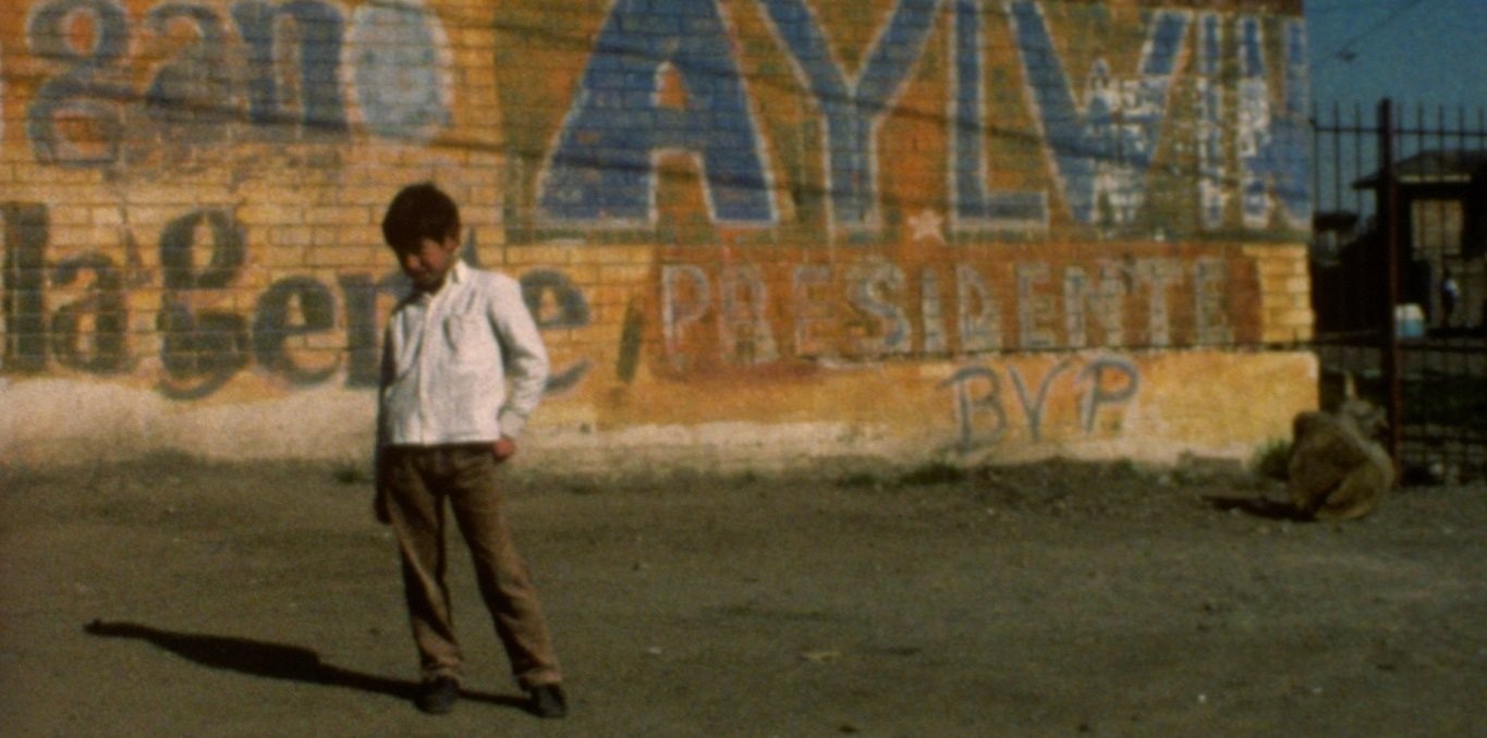 Couverture du documentaire Viejo Pascuero