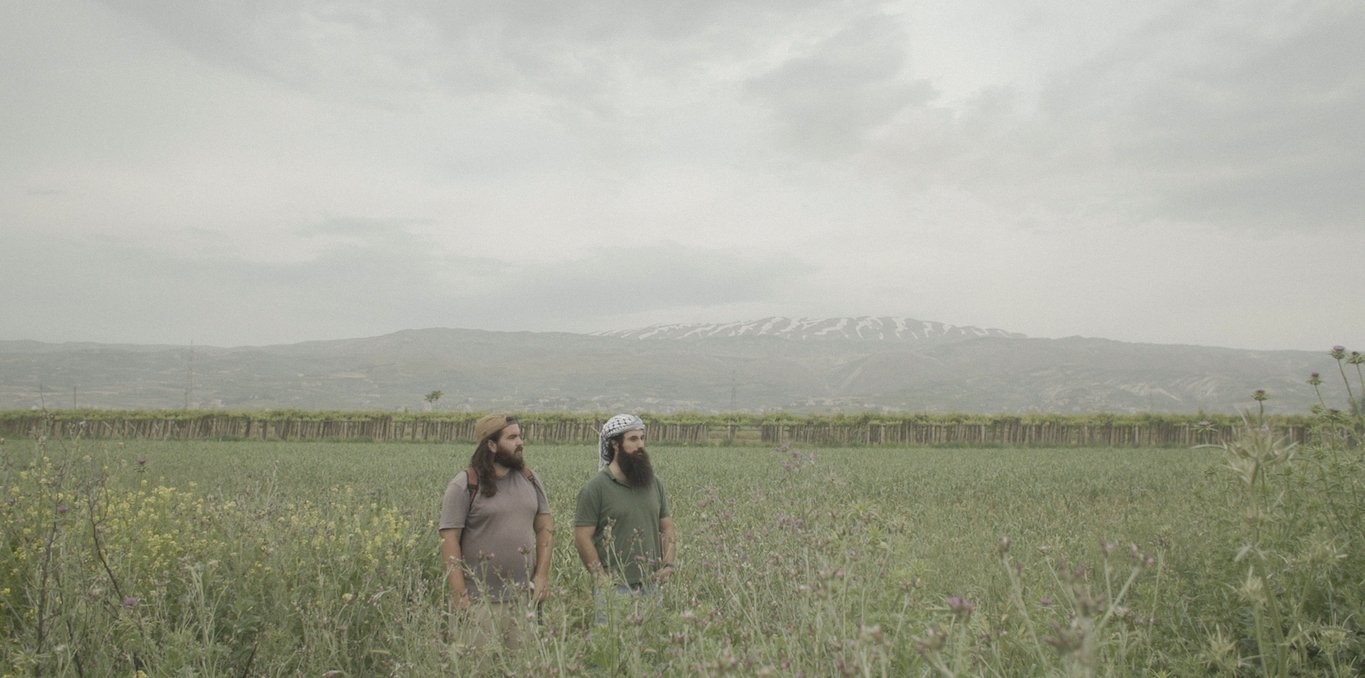 Couverture du documentaire Snake Hill