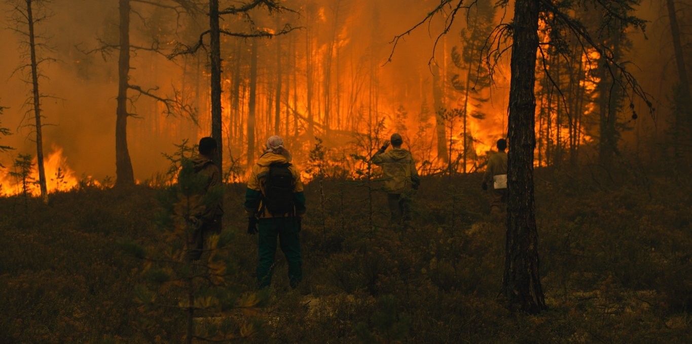 Couverture du documentaire Paradis