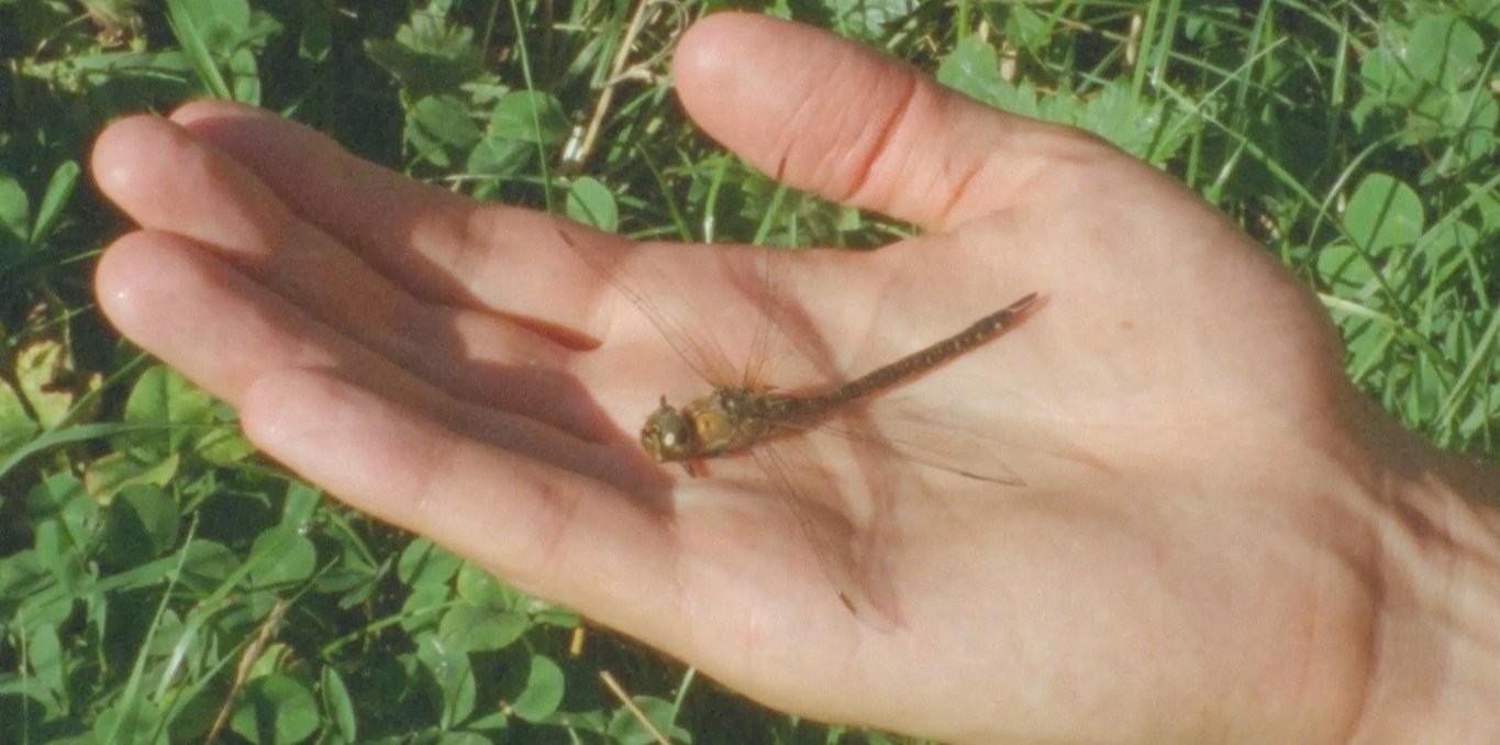 Couverture du documentaire L'eau était là