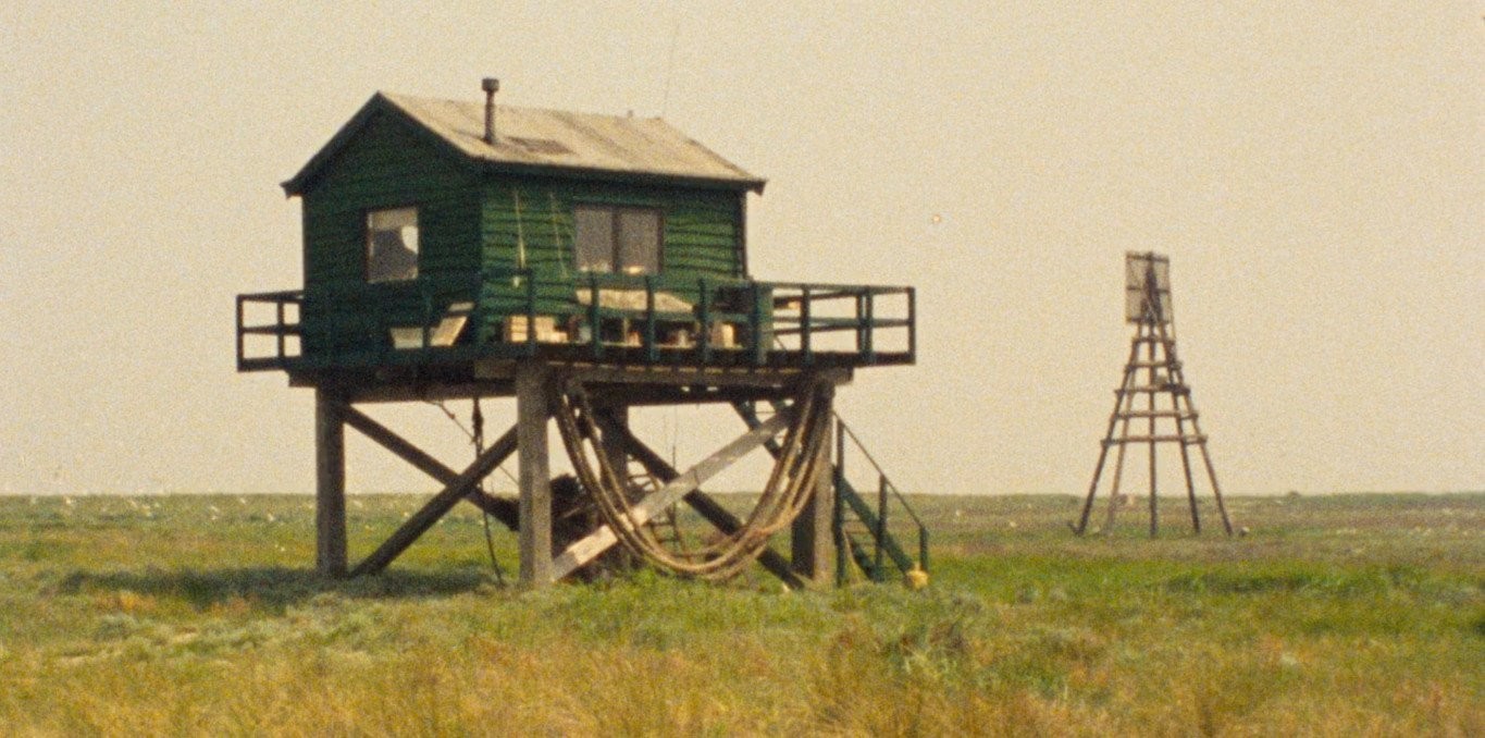 Image de couverture La Jungle plate