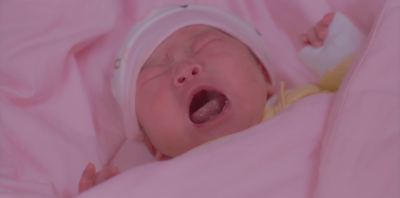 About the Pink Cocoon