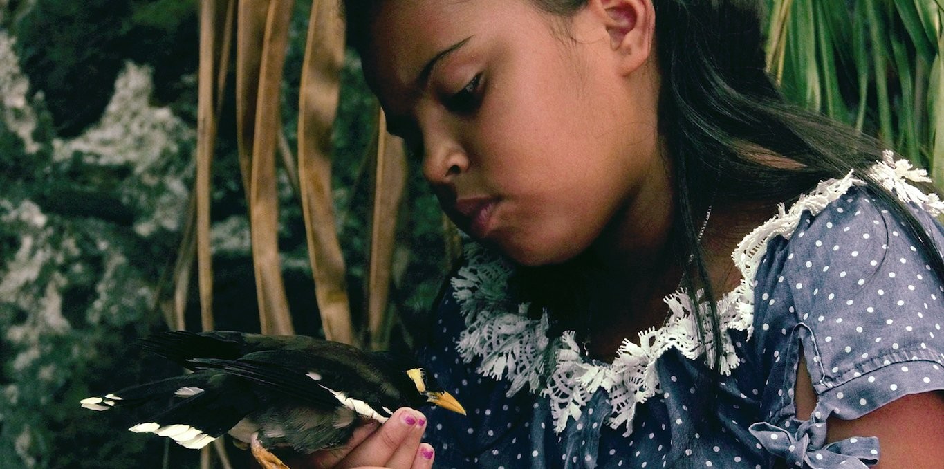 Dans la famille Bomata, il y a...