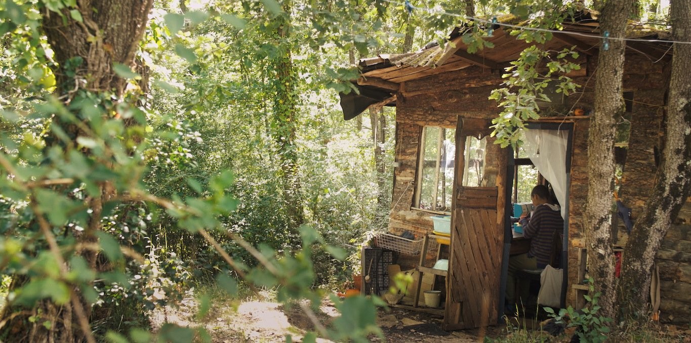 Couverture du documentaire Lisière