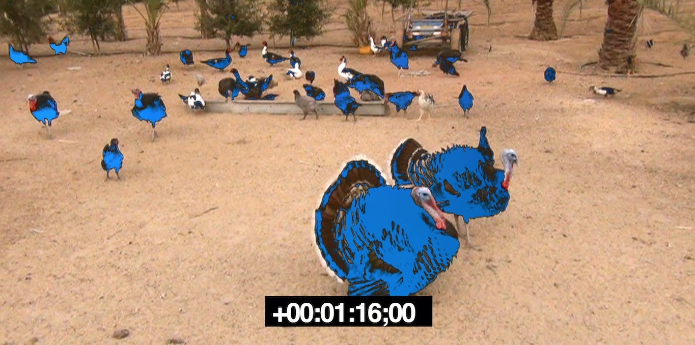 Couverture du documentaire Home Movies Gaza