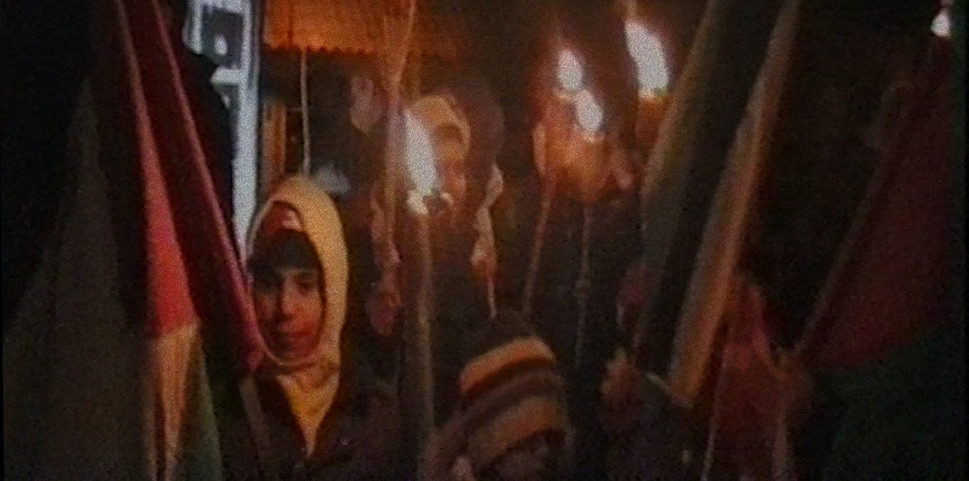 Couverture du documentaire I Signed the Petition