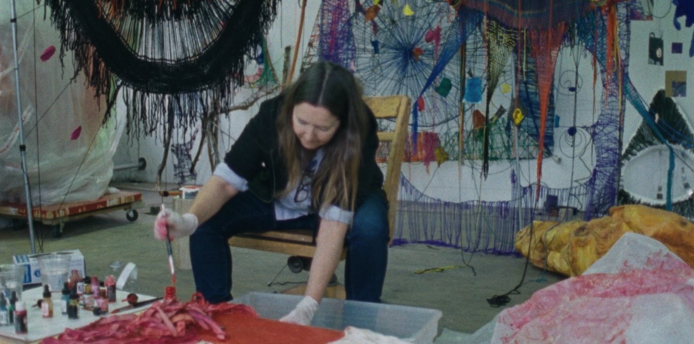 Couverture du documentaire Bronx, New York, Novembre 2019