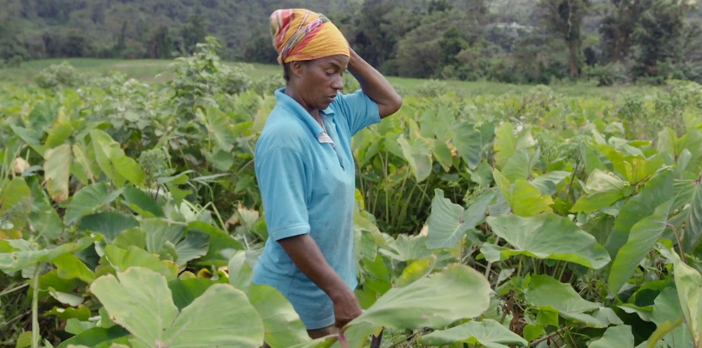 Couverture du documentaire Tu crois que la terre est chose morte