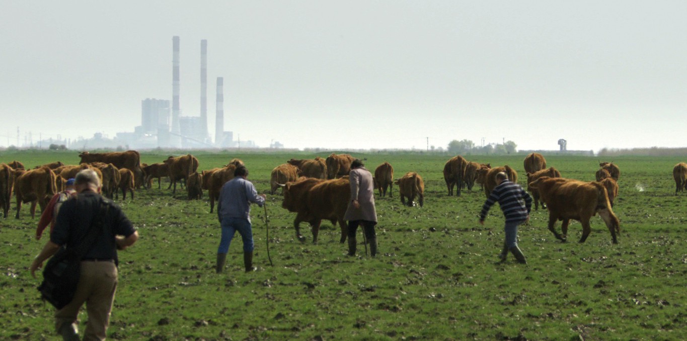 Couverture du documentaire La Ligne de partage des eaux