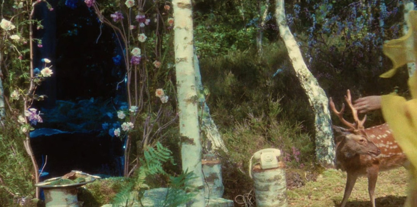 Couverture du documentaire Peau d'âme